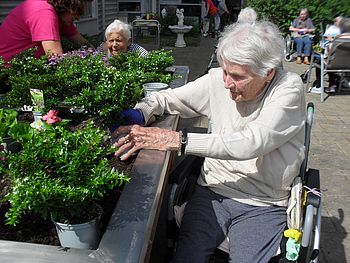 Unsere Bewohnerin setzt Blumen ein.