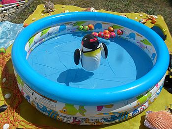 Pinguin im Pool.