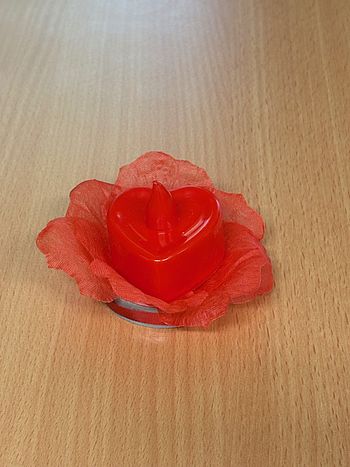 Muttertagsgeschenk der SPÖ Frauen