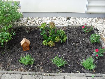 Fertig gestaltetes Blumenbeet.